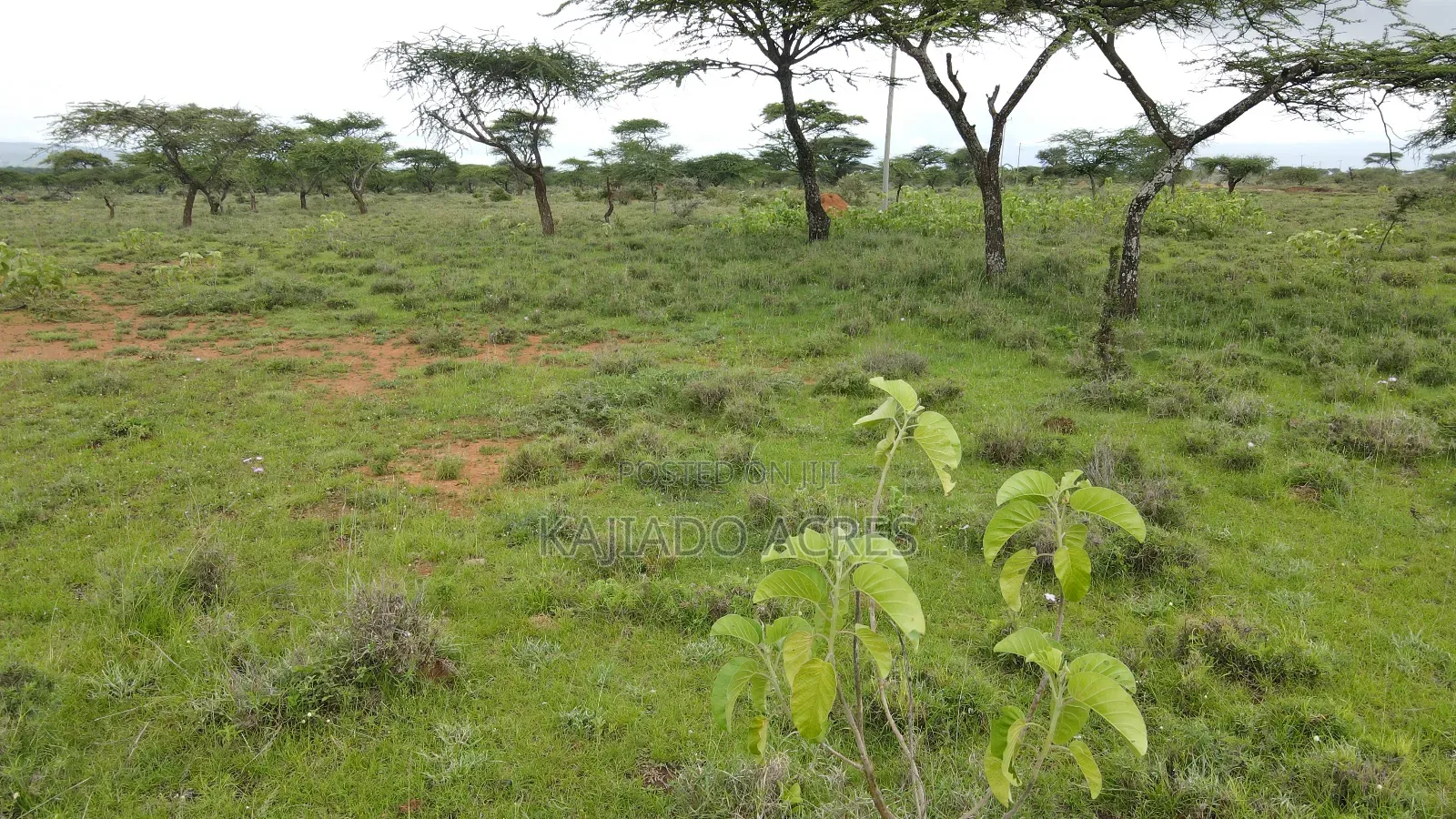 Prime 2 Acres Touching Ewuaso-Najile Road in Ewuaso Oonkidong'I