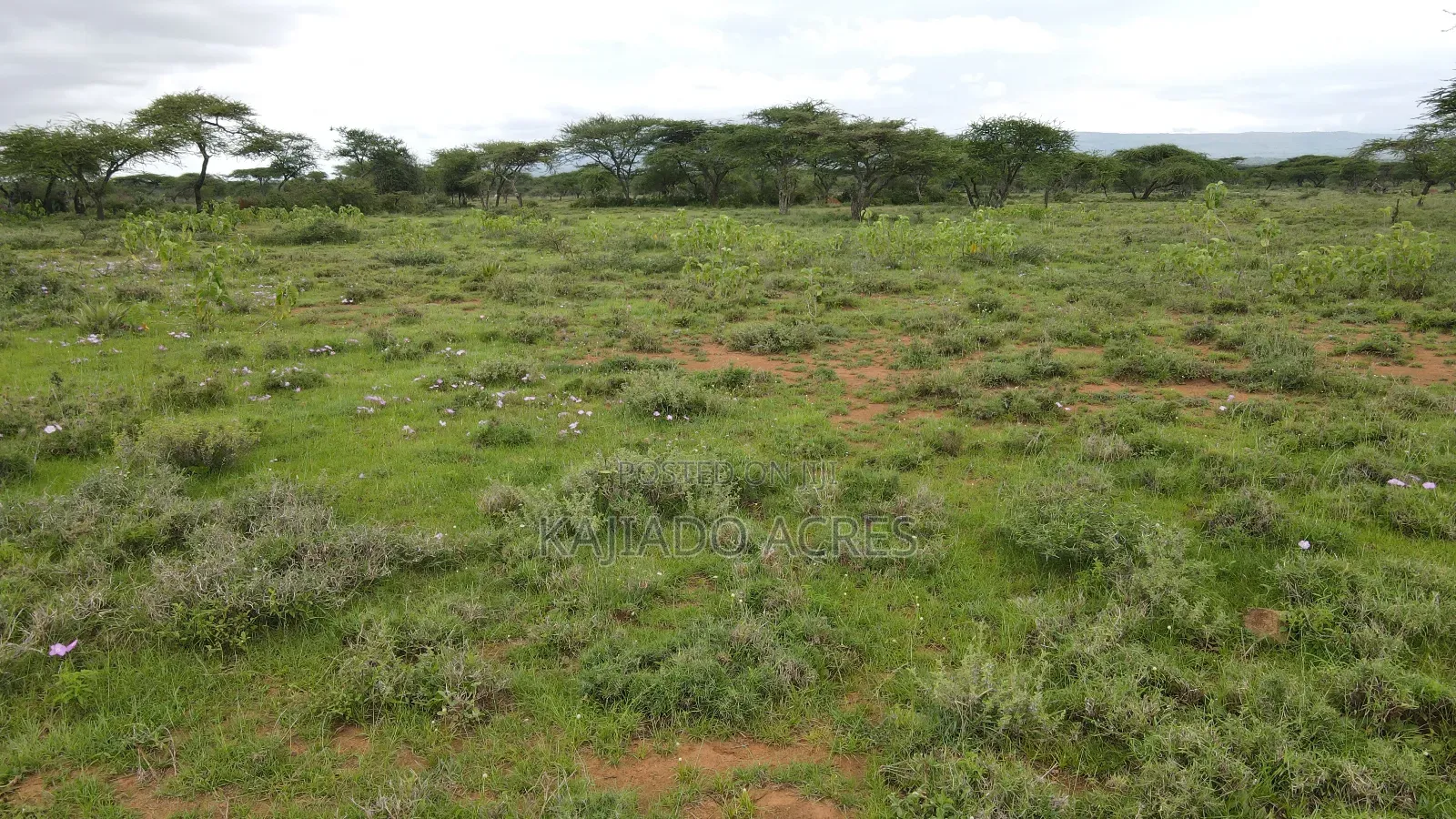 Prime 2 Acres Touching Ewuaso-Najile Road in Ewuaso Oonkidong'I