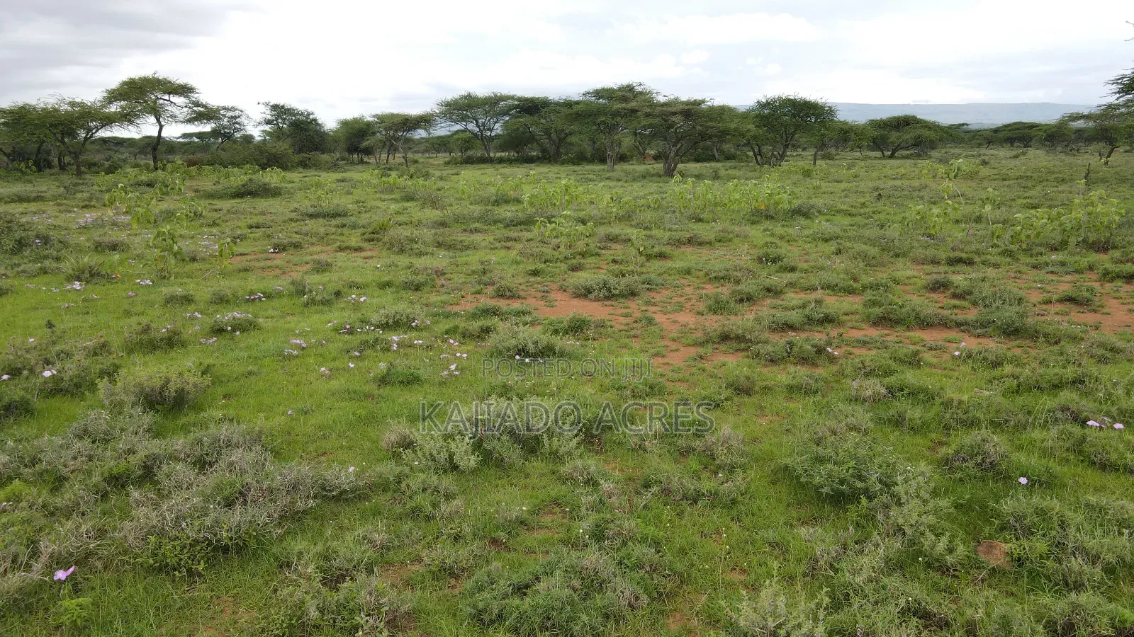 Prime 2 Acres Touching Ewuaso-Najile Road in Ewuaso Oonkidong'I