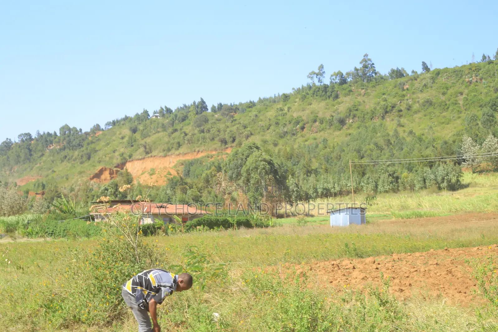 Prime 1/8 Acre Residential Plots for Sale – Nachu Mbomboini in Karai