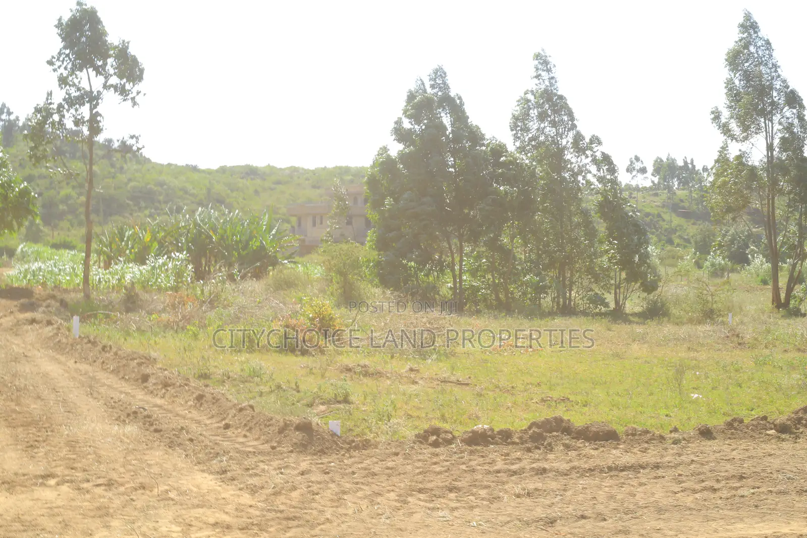 Prime Residential Plots for Sale – Kikuyu, Kara in Karai