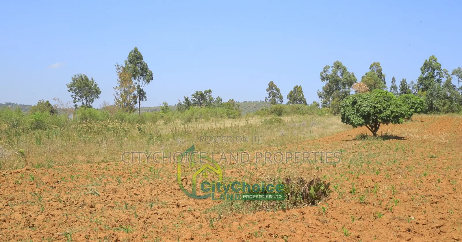 Make a Deposit Own Land in Nachu, Mbomboini. in Karai
