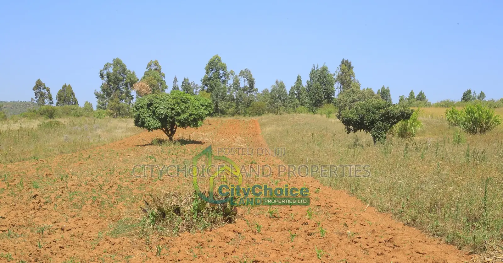 Make a Deposit Own Land in Nachu, Mbomboini. in Karai