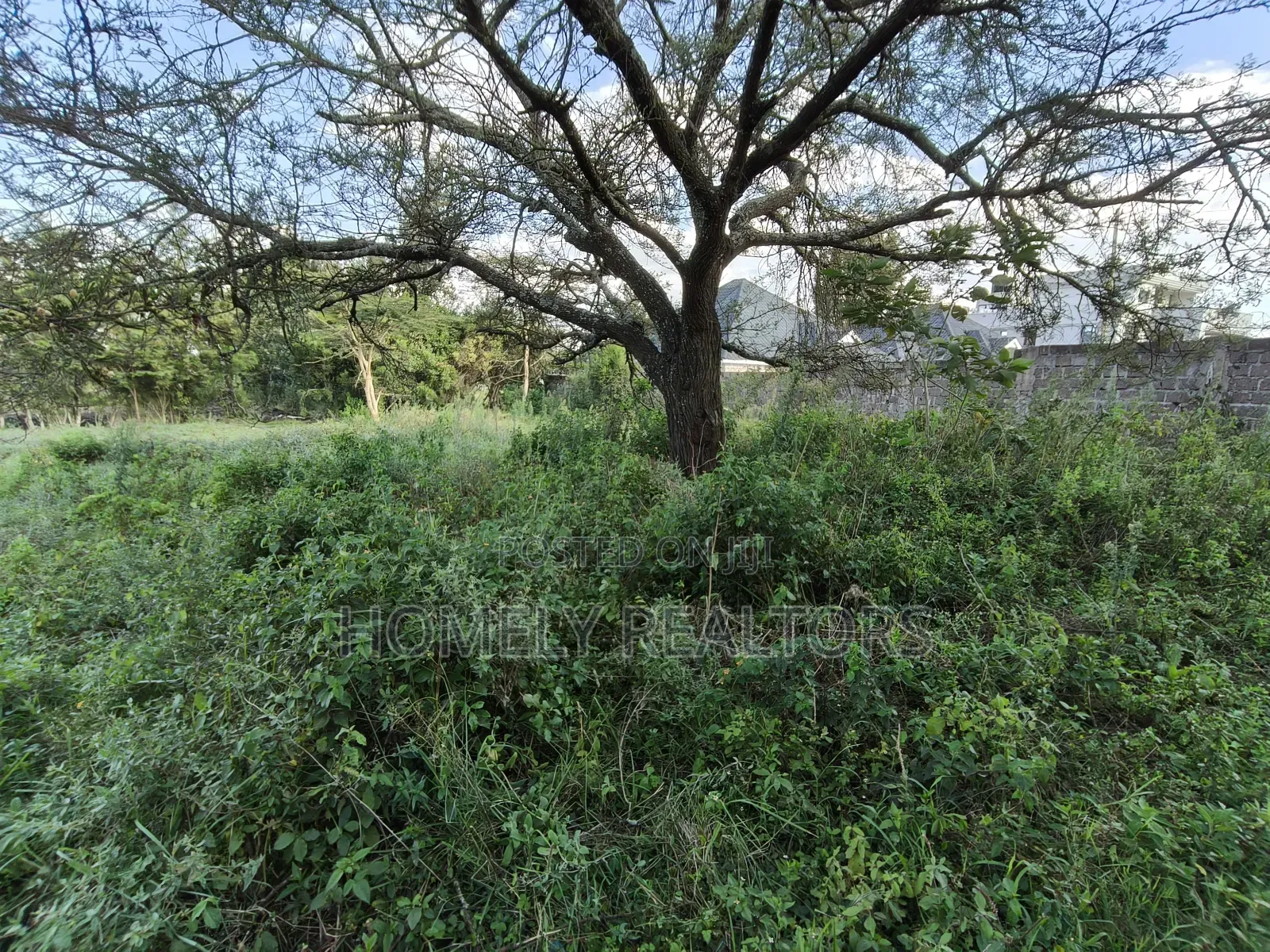 Eighth Acre Plot in Rimpa, Ongata Rongai Near the Tarmac in Rimpa