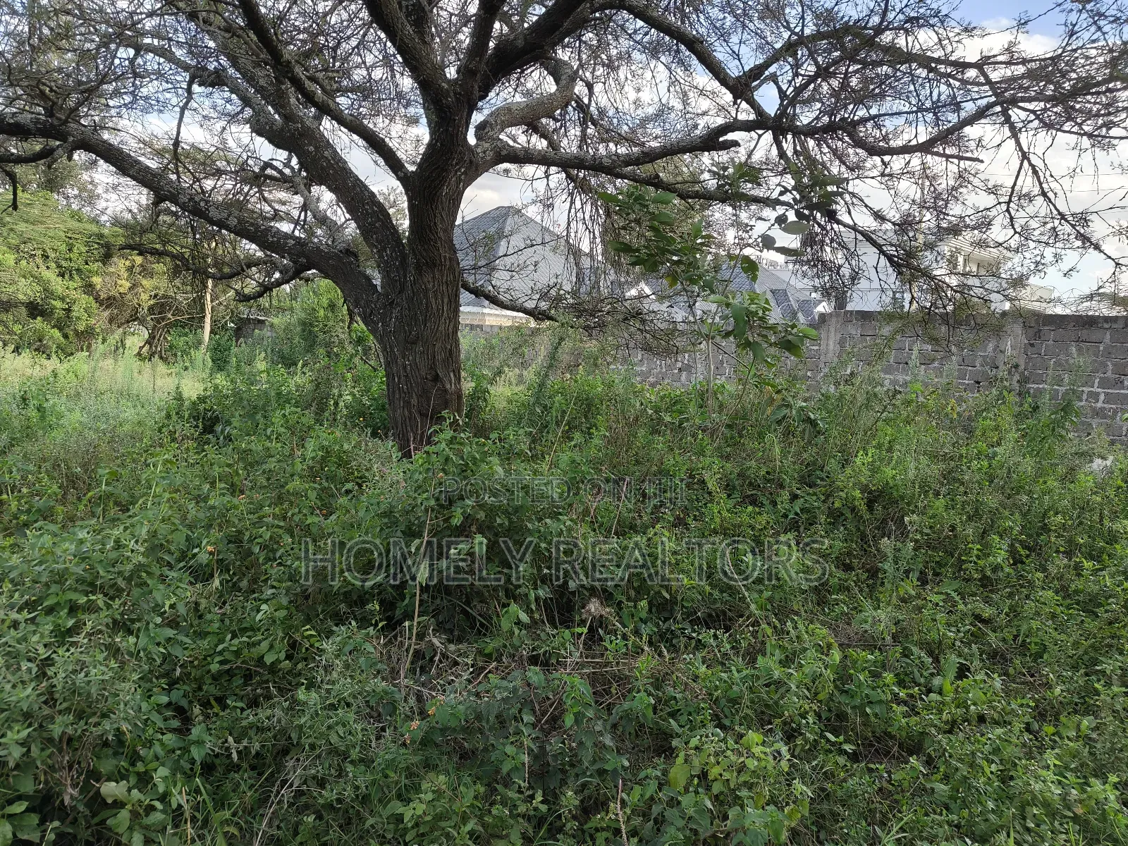 Eighth Acre Plot in Rimpa, Ongata Rongai Near the Tarmac in Rimpa