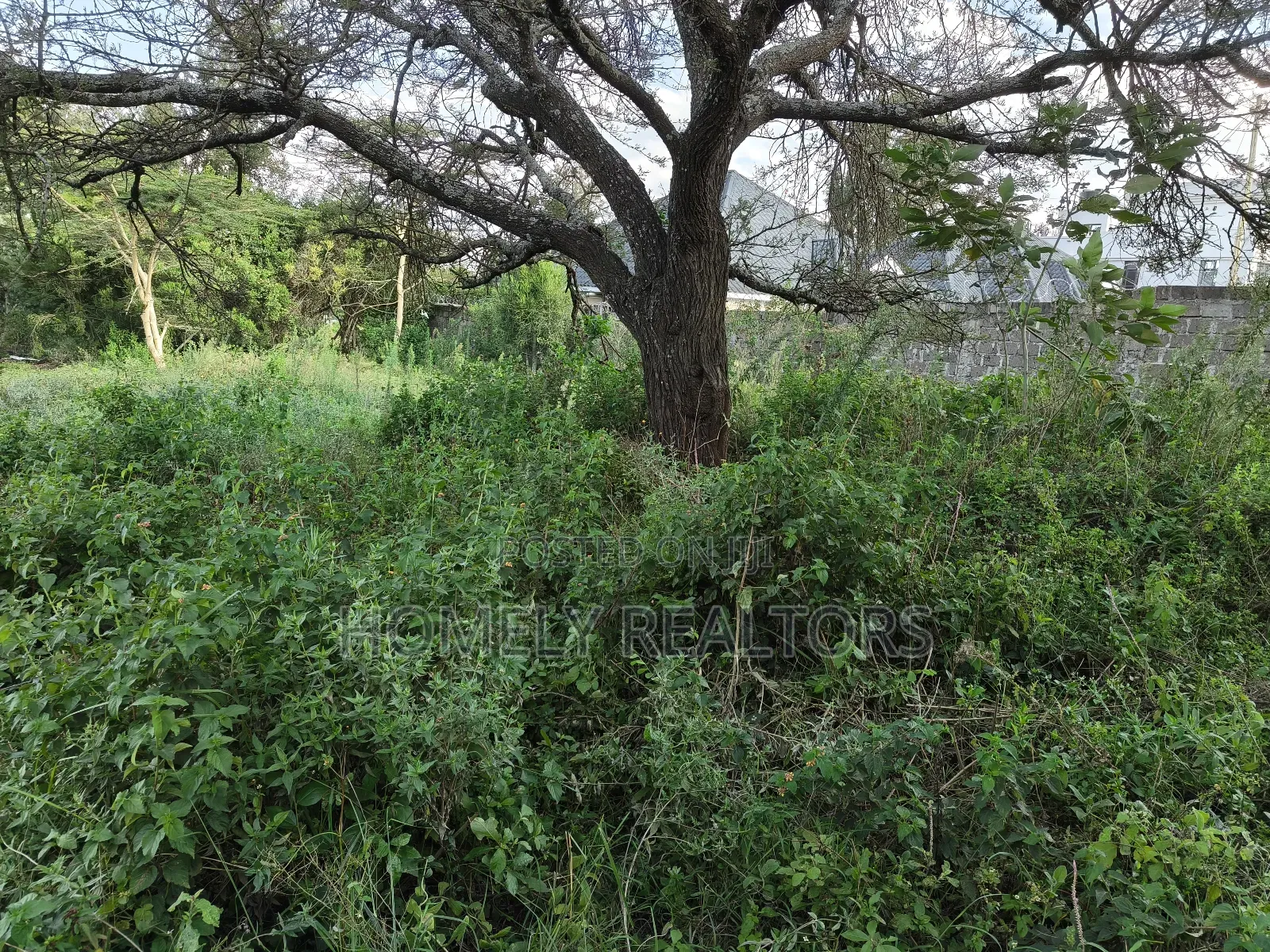 Eighth Acre Plot in Rimpa, Ongata Rongai Near the Tarmac in Rimpa