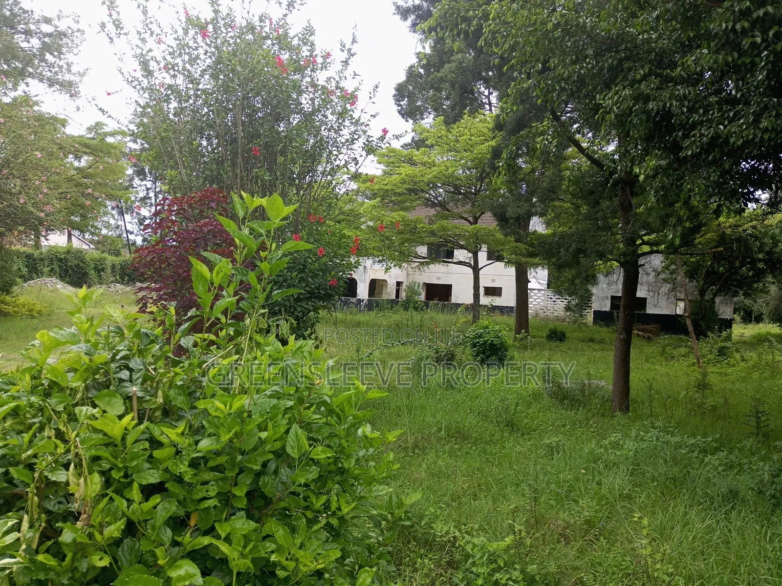 1 Acre for Sale in Karen