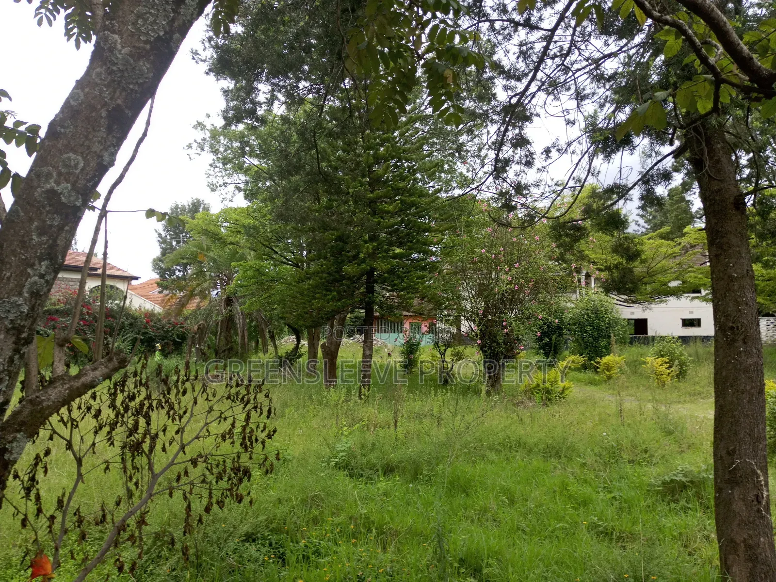 1 Acre for Sale in Karen