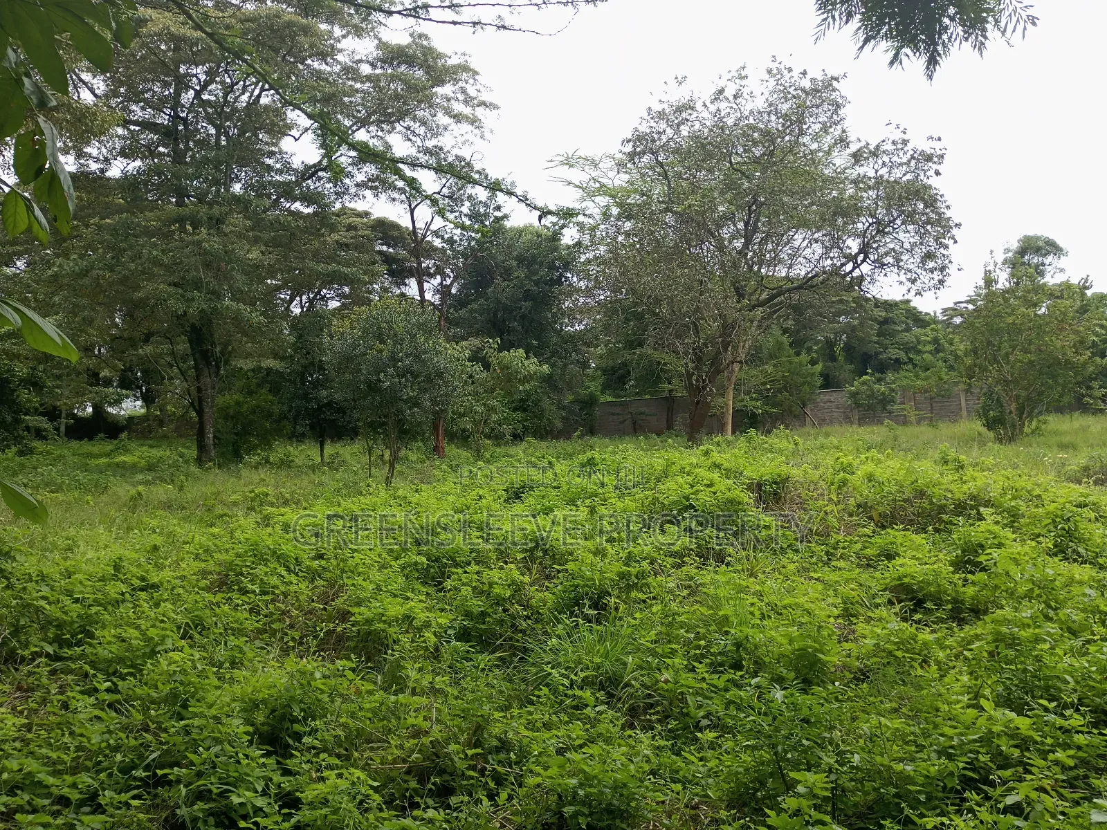 Commercial Land for Sale in Karen