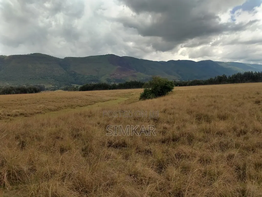 62.179 Acres of Land for Lease in Kipipiri, Nyandarua in Kipipiri
