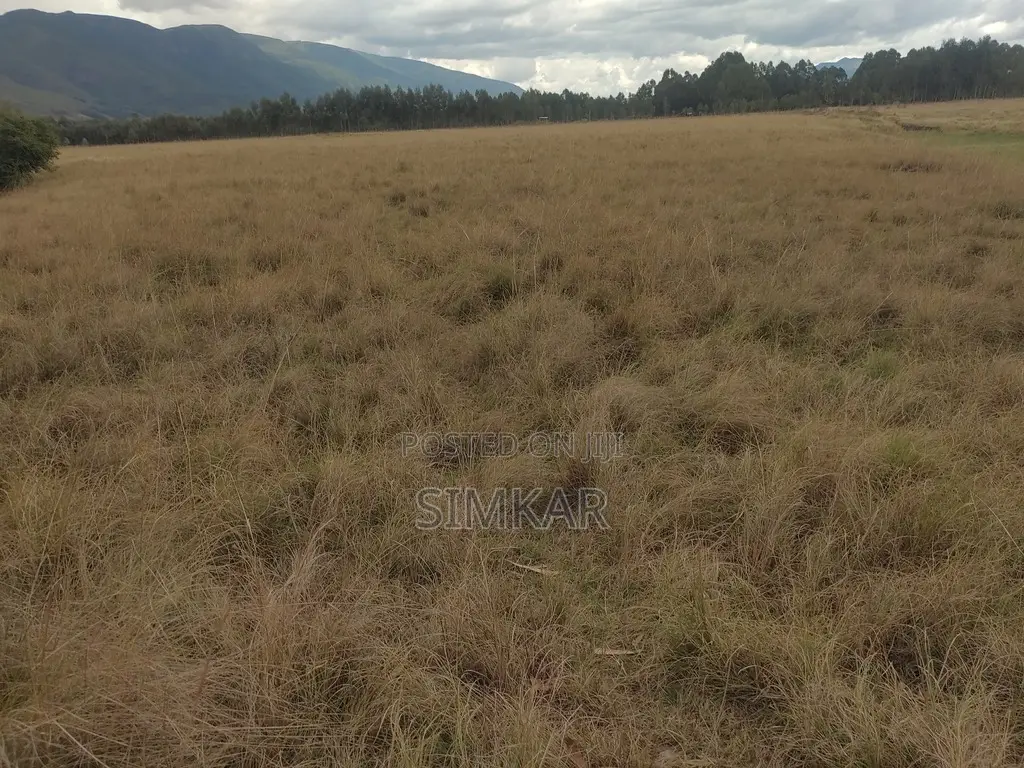 62.179 Acres of Land for Lease in Kipipiri, Nyandarua in Kipipiri