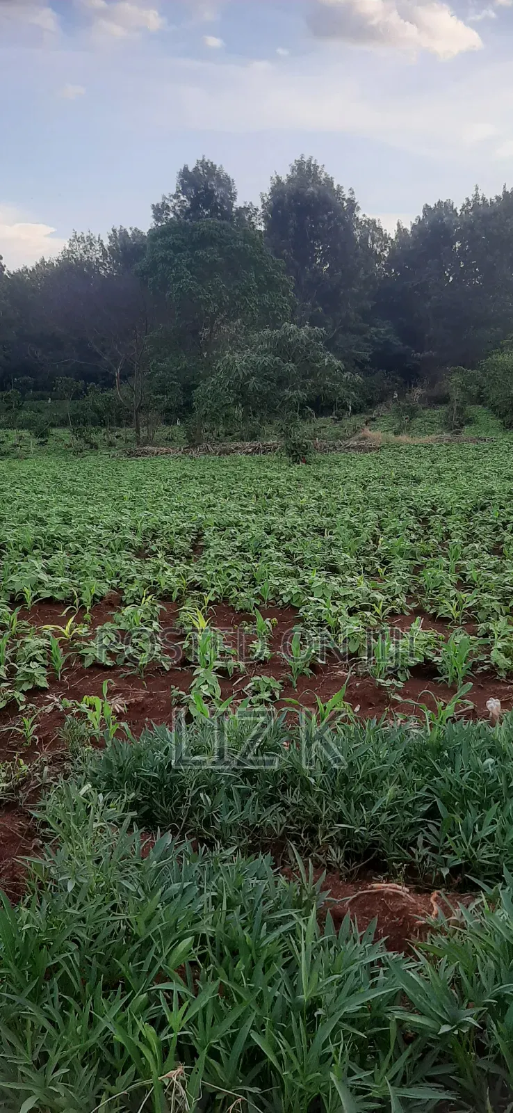 Controlled 1/4 Plots for Sale in Thika-Gatanga Rd.Karangaita in Thika
