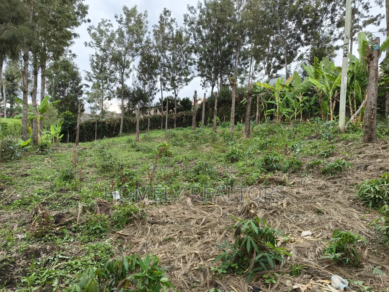 Residential Quarter Acre Plot in Ongata Rongai, Rimpa Area in Rimpa