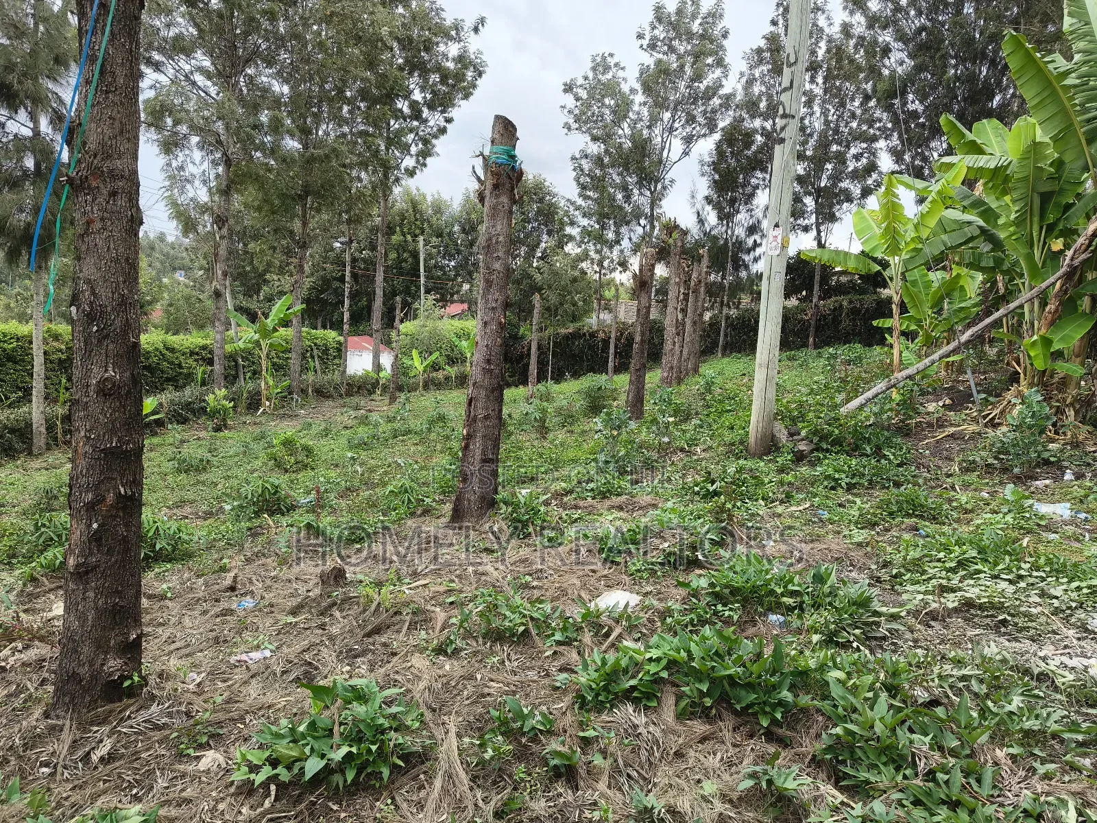 Residential Quarter Acre Plot in Ongata Rongai, Rimpa Area in Rimpa