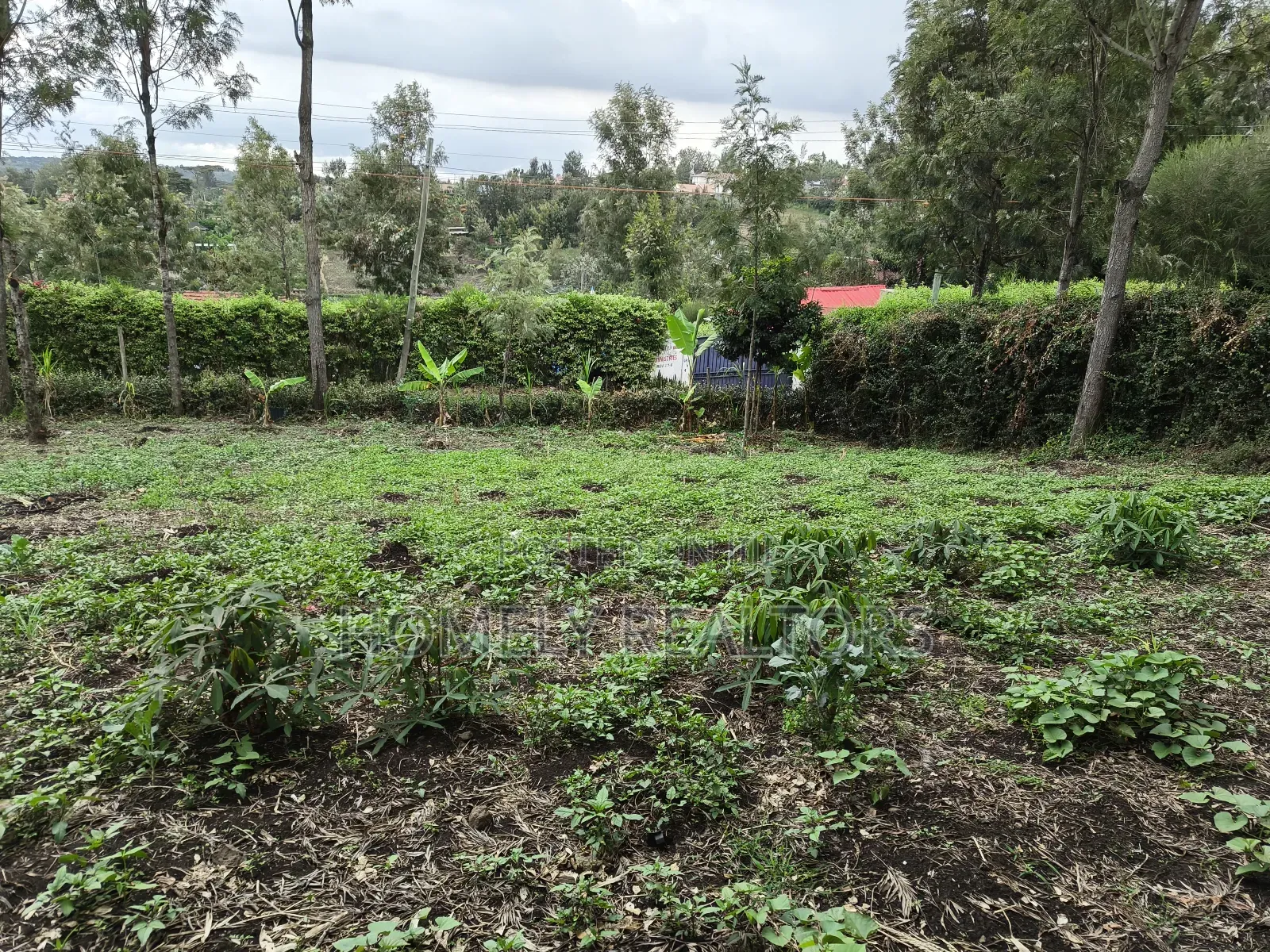 Residential Quarter Acre Plot in Ongata Rongai, Rimpa Area in Rimpa