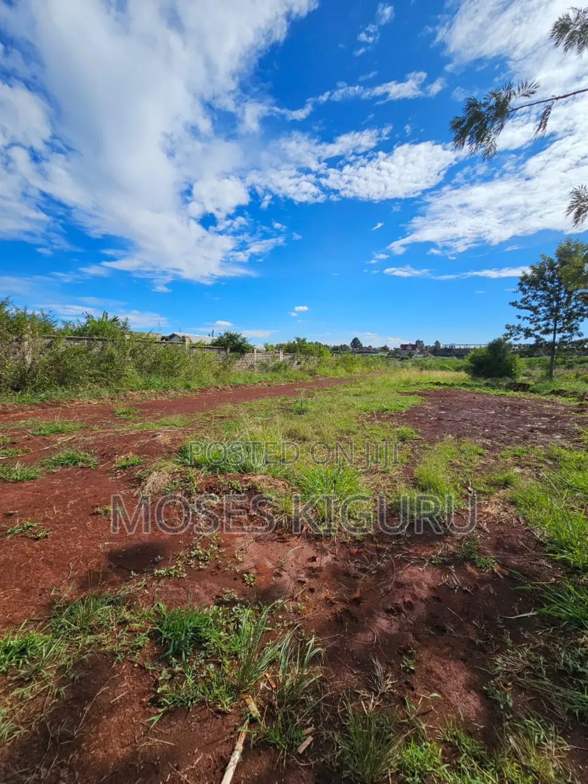 Thika Greens 1/4 Plots. in Kakuzi/Mitubiri