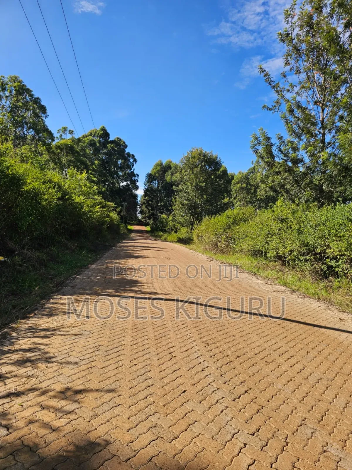 Thika Greens 1/4 Plots. in Kakuzi/Mitubiri