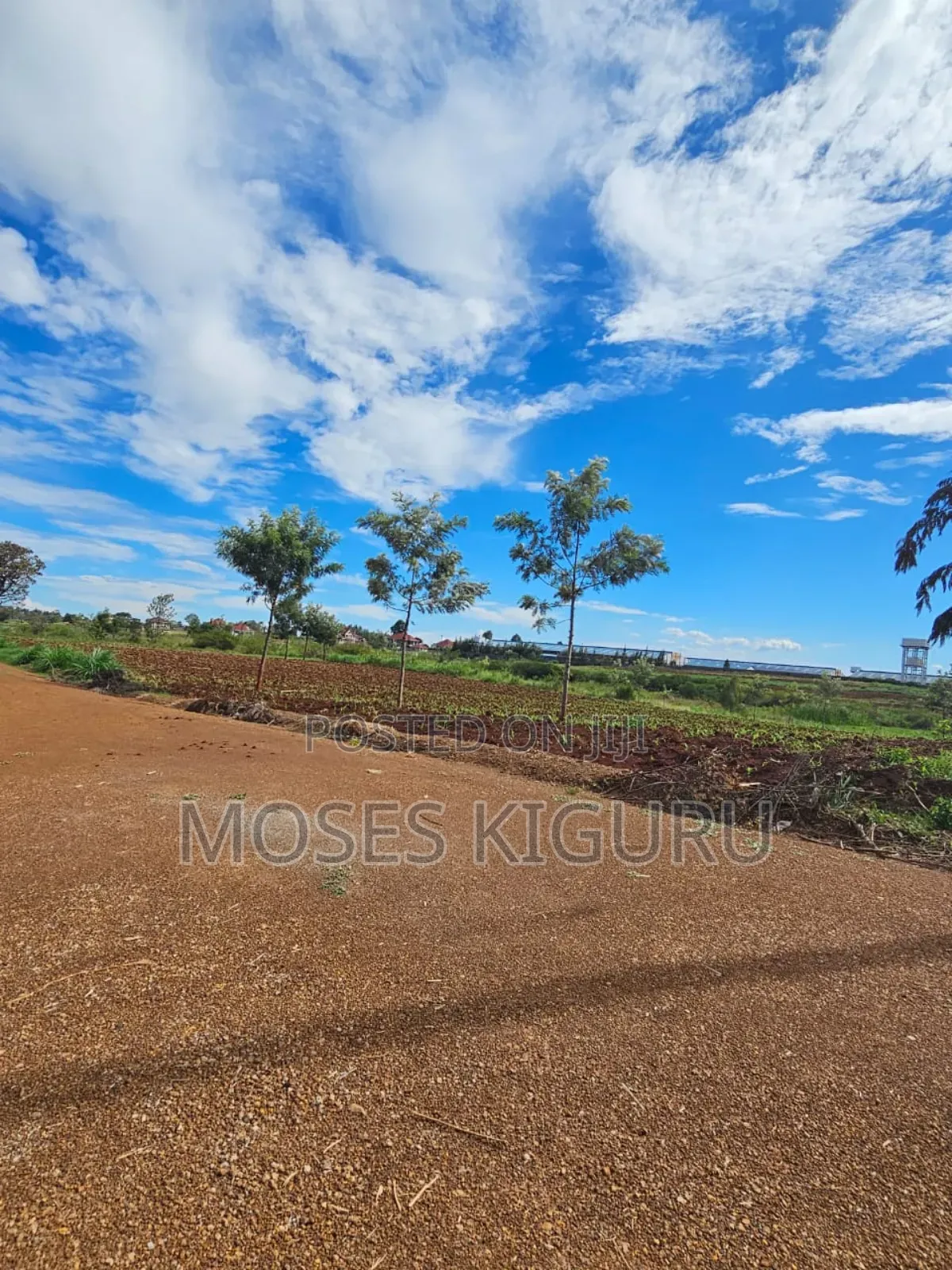 Thika Greens 1/4 Plots. in Kakuzi/Mitubiri
