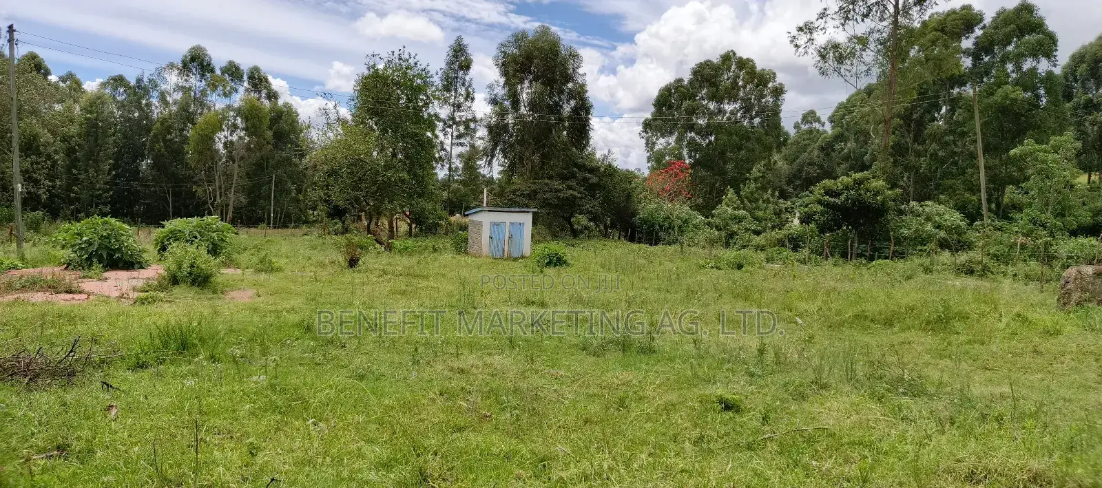 Quarter Acre Plots for Sale in Ngong Kahara Centre in Ngong