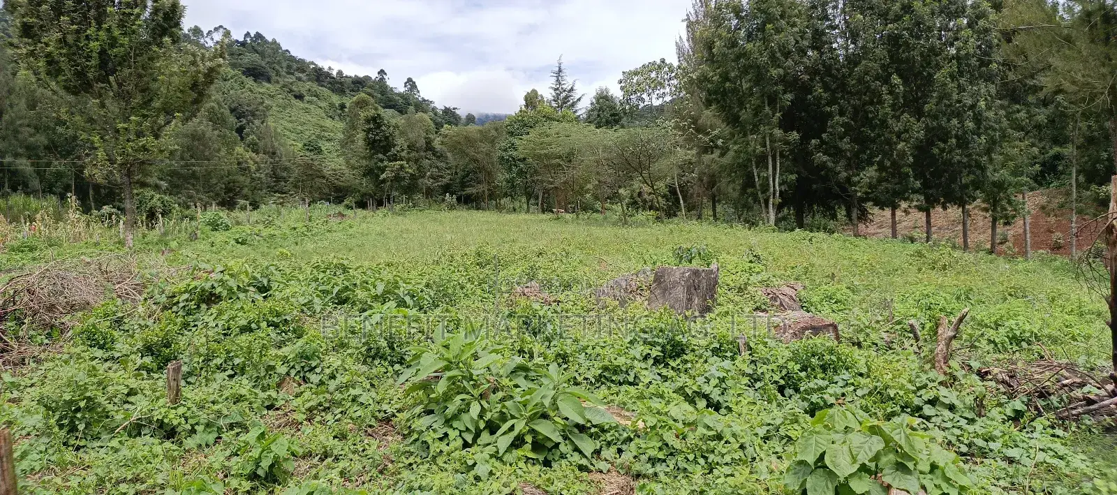 Quarter Acre Plots for Sale in Ngong Kahara Centre in Ngong