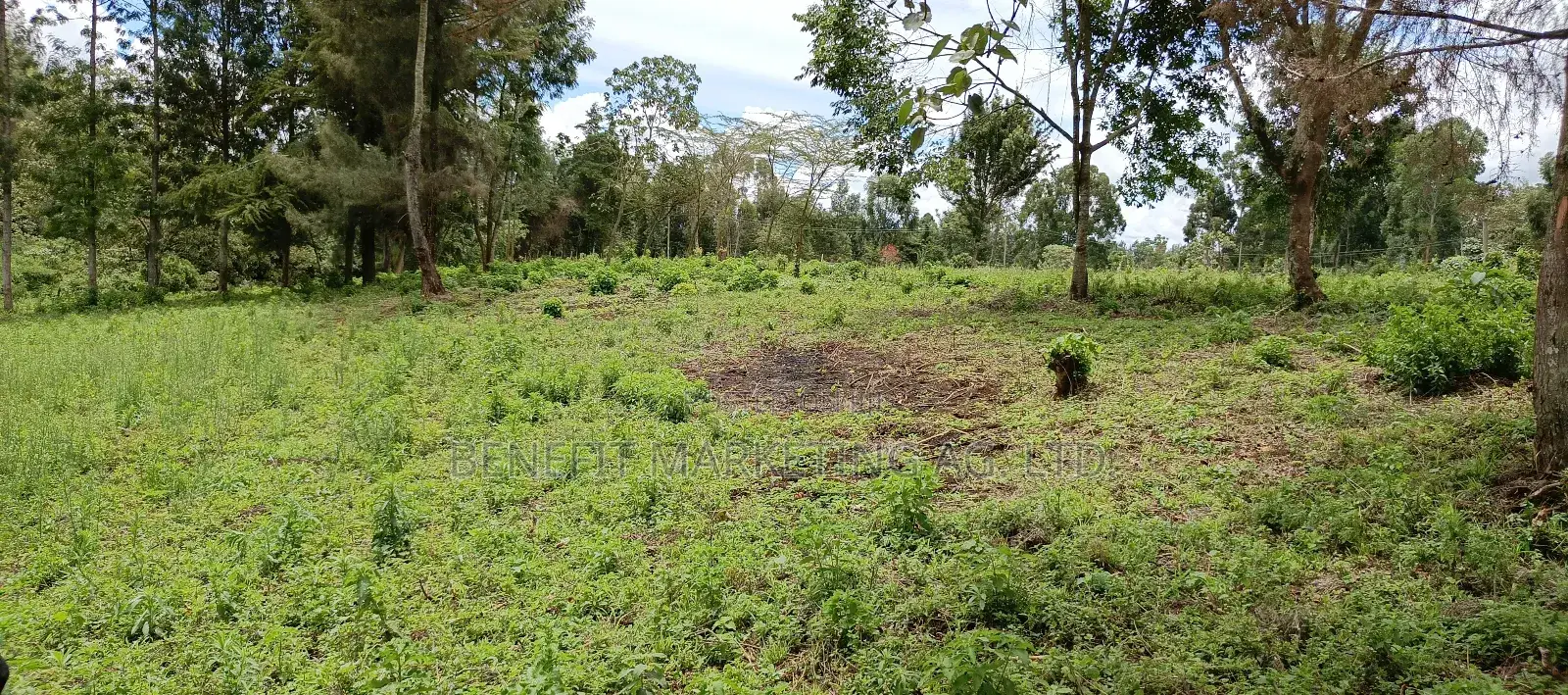 Quarter Acre Plots for Sale in Ngong Kahara Centre in Ngong