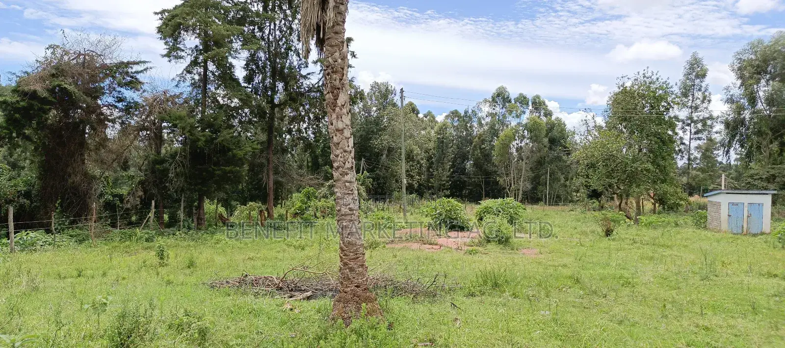 Quarter Acre Plots for Sale in Ngong Kahara Centre in Ngong