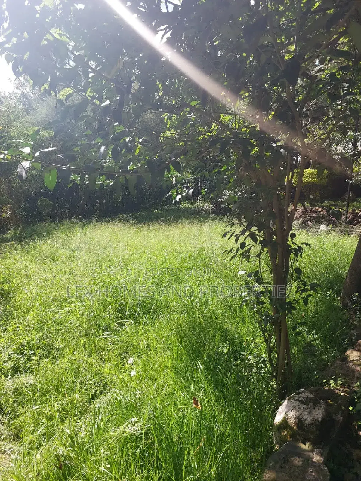 Quarter of an Acre in a Controlled Development Area in Nkoroi