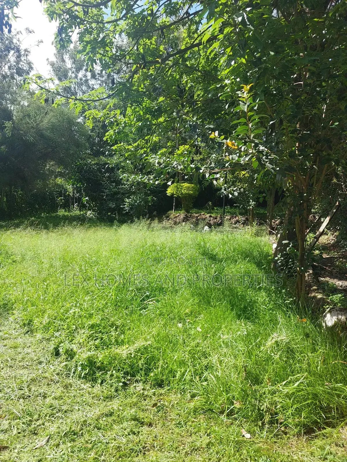 Quarter of an Acre in a Controlled Development Area in Nkoroi
