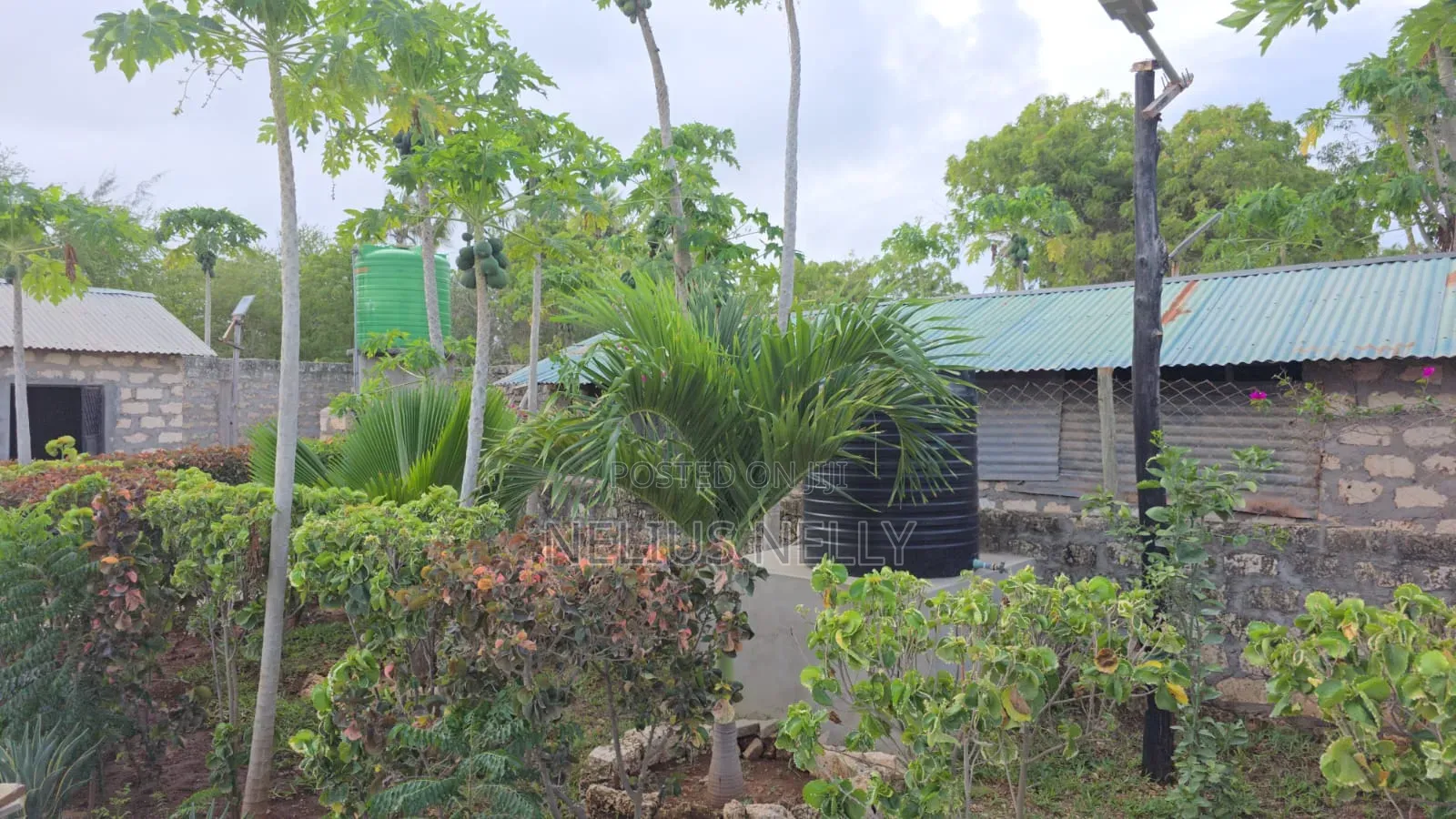 Furnished 3bdrm Bungalow in Kituoni, Tezo for sale in Tezo