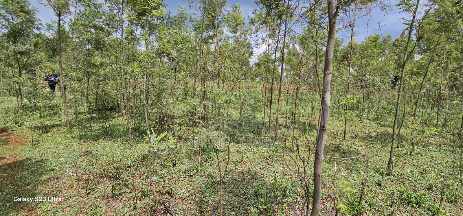 1 Acre for Sale in Mlango Near Ngara Falls Kapseret Eldoret in Kapseret