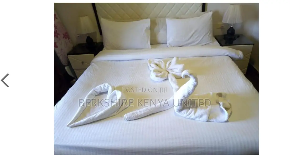 Studio With Nice Bed-Clean and Secure-Price Per Night in Nairobi Central
