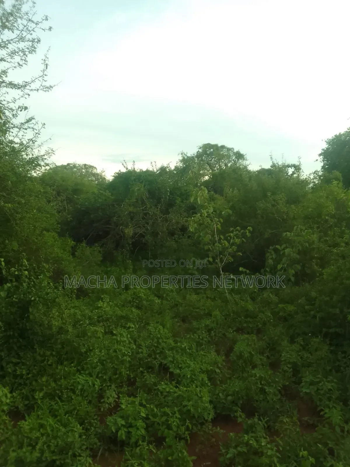 Makindu -makueni County 15 Acres Kes. Per Acre in Makindu