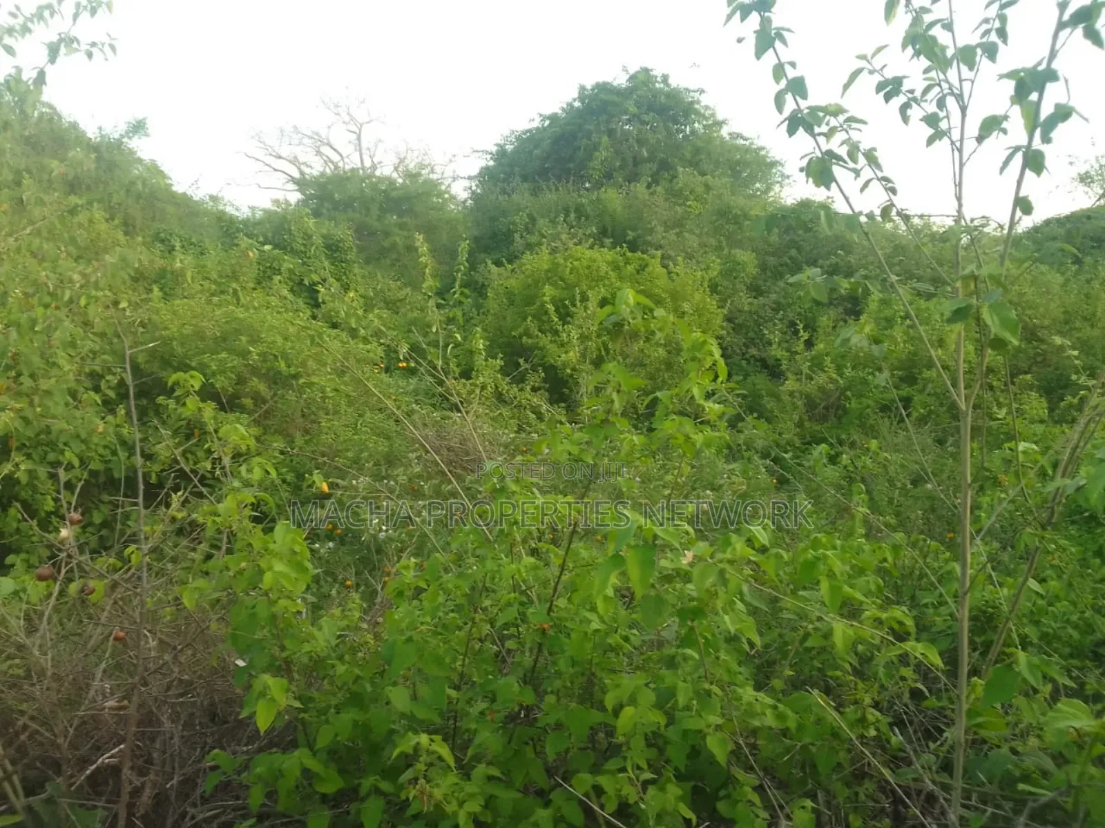 Makindu -makueni County 15 Acres Kes. Per Acre in Makindu