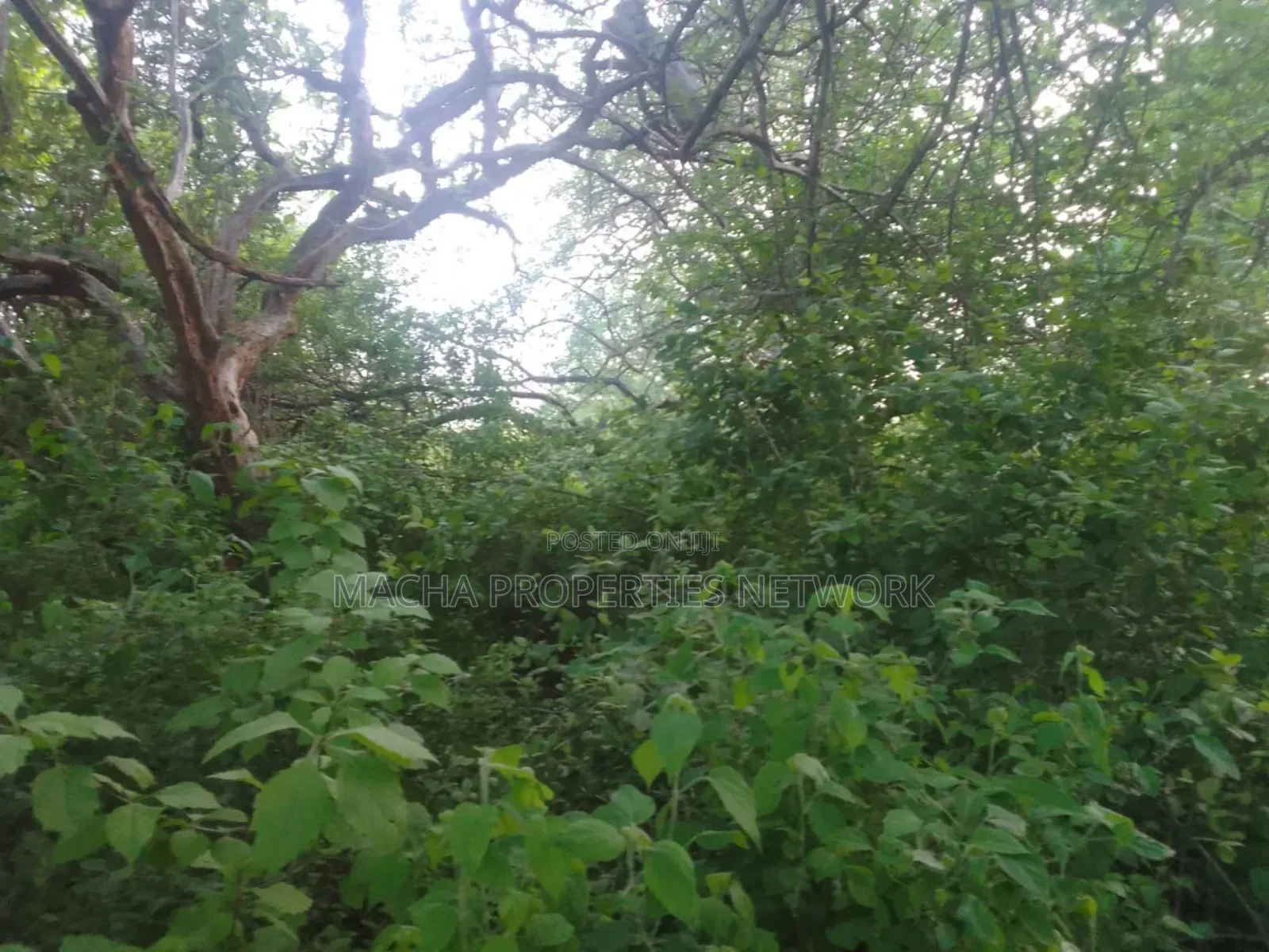 Makindu -makueni County 15 Acres Kes. Per Acre in Makindu