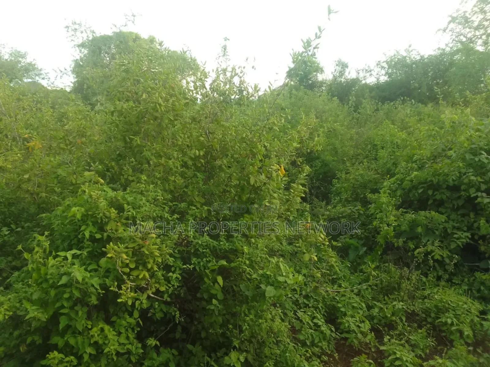 Makindu -makueni County 15 Acres Kes. Per Acre in Makindu