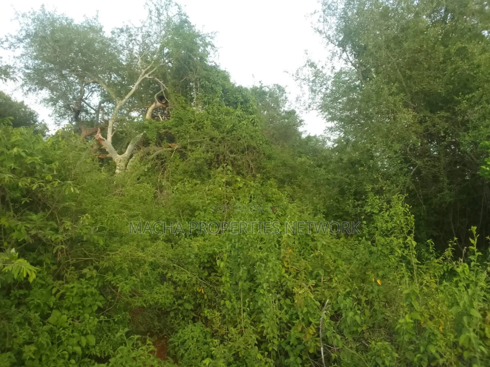 Makindu -makueni County 15 Acres Kes. Per Acre in Makindu