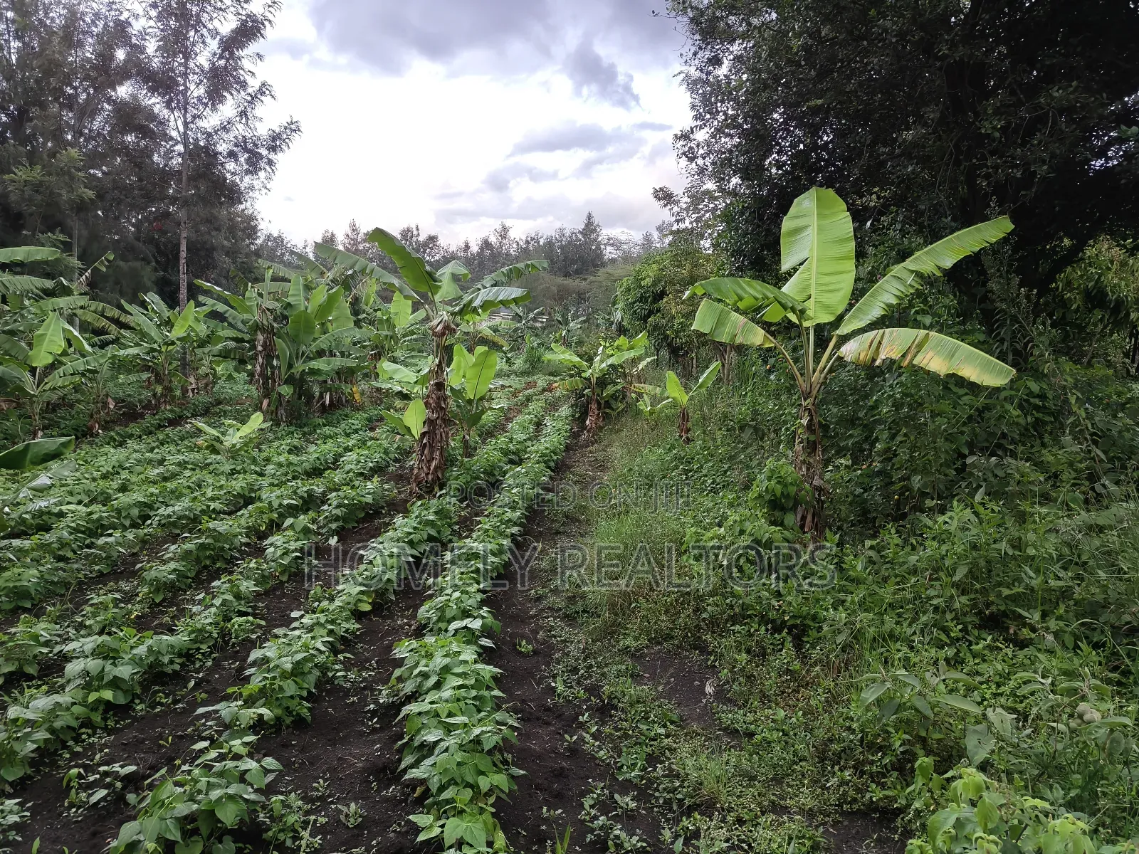 2 Acres of Land Touching Tarmac on Sale in Ngong, Matasia in Matasia