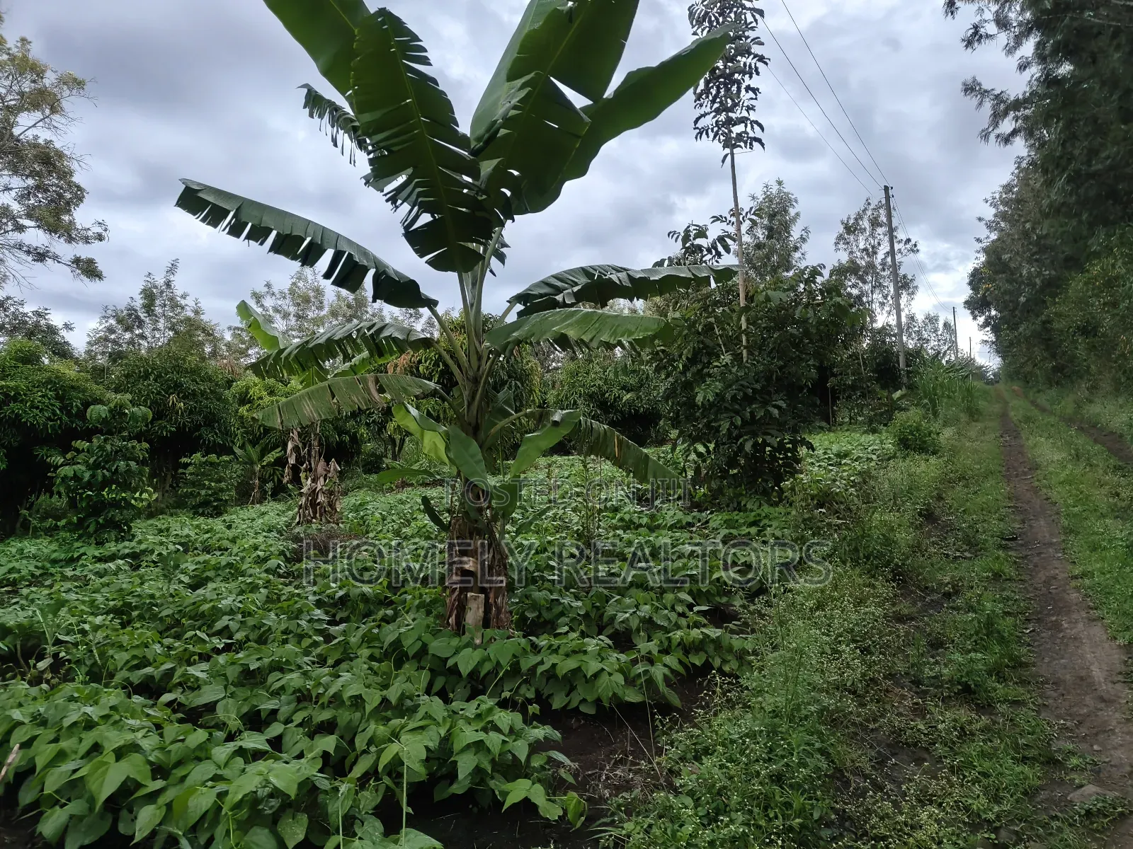 2 Acres of Land Touching Tarmac on Sale in Ngong, Matasia in Matasia