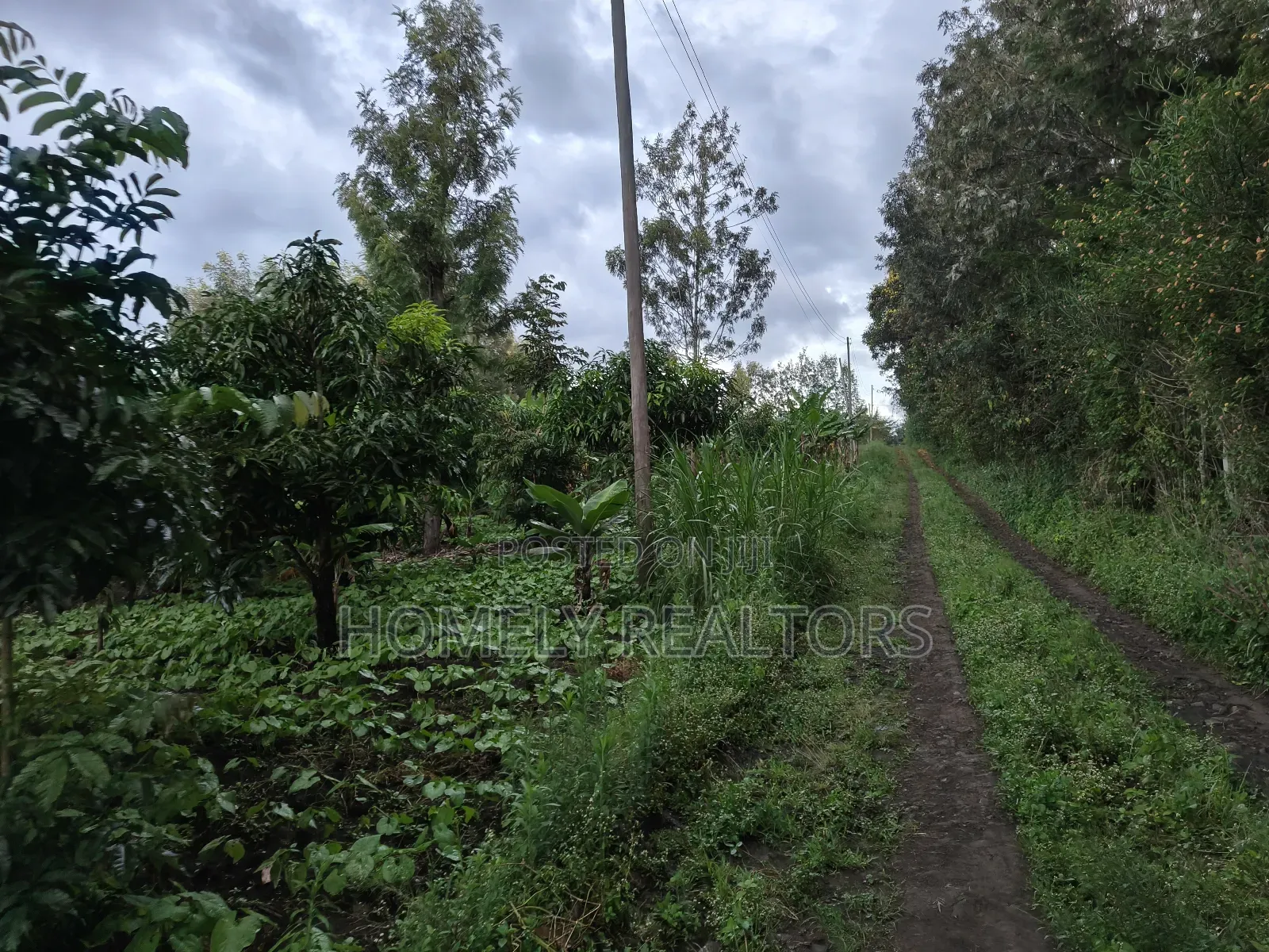 2 Acres of Land Touching Tarmac on Sale in Ngong, Matasia in Matasia