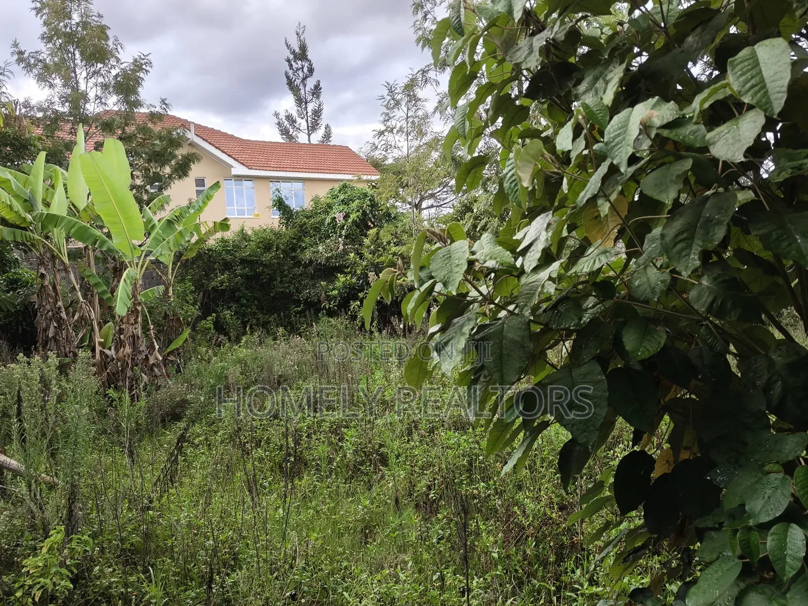 Eighth Acre Plot in Ngong at Merisho Matasia Near the Tarmac in Matasia