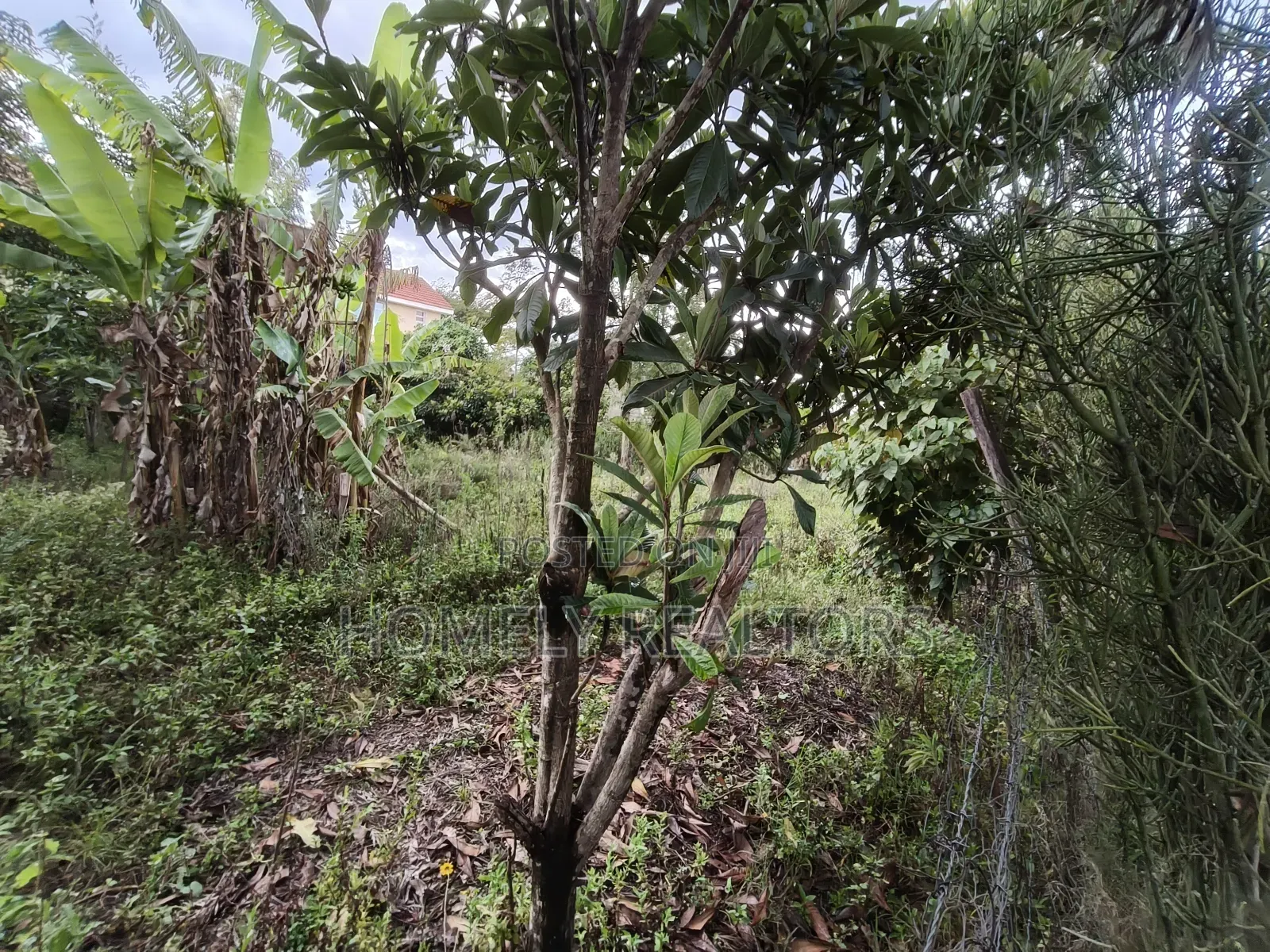 Eighth Acre Plot in Ngong at Merisho Matasia Near the Tarmac in Matasia