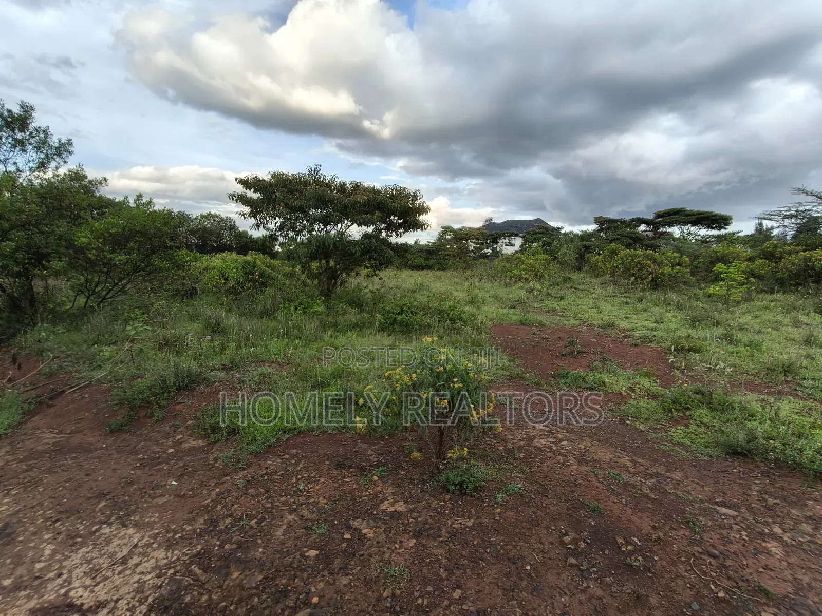 Quarter Acre Plot in Ongata Rongai Acacia Along Merisho Road in Ongata Rongai
