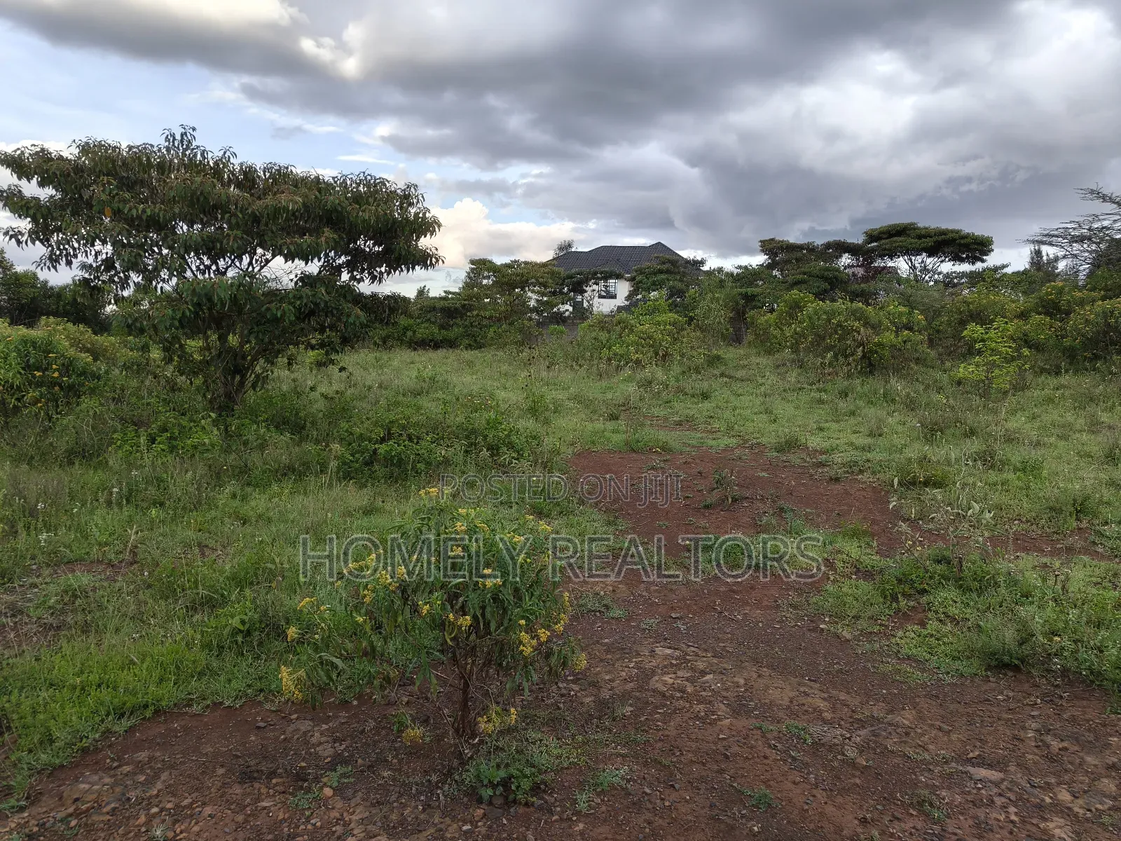 Quarter Acre Plot in Ongata Rongai Acacia Along Merisho Road in Ongata Rongai