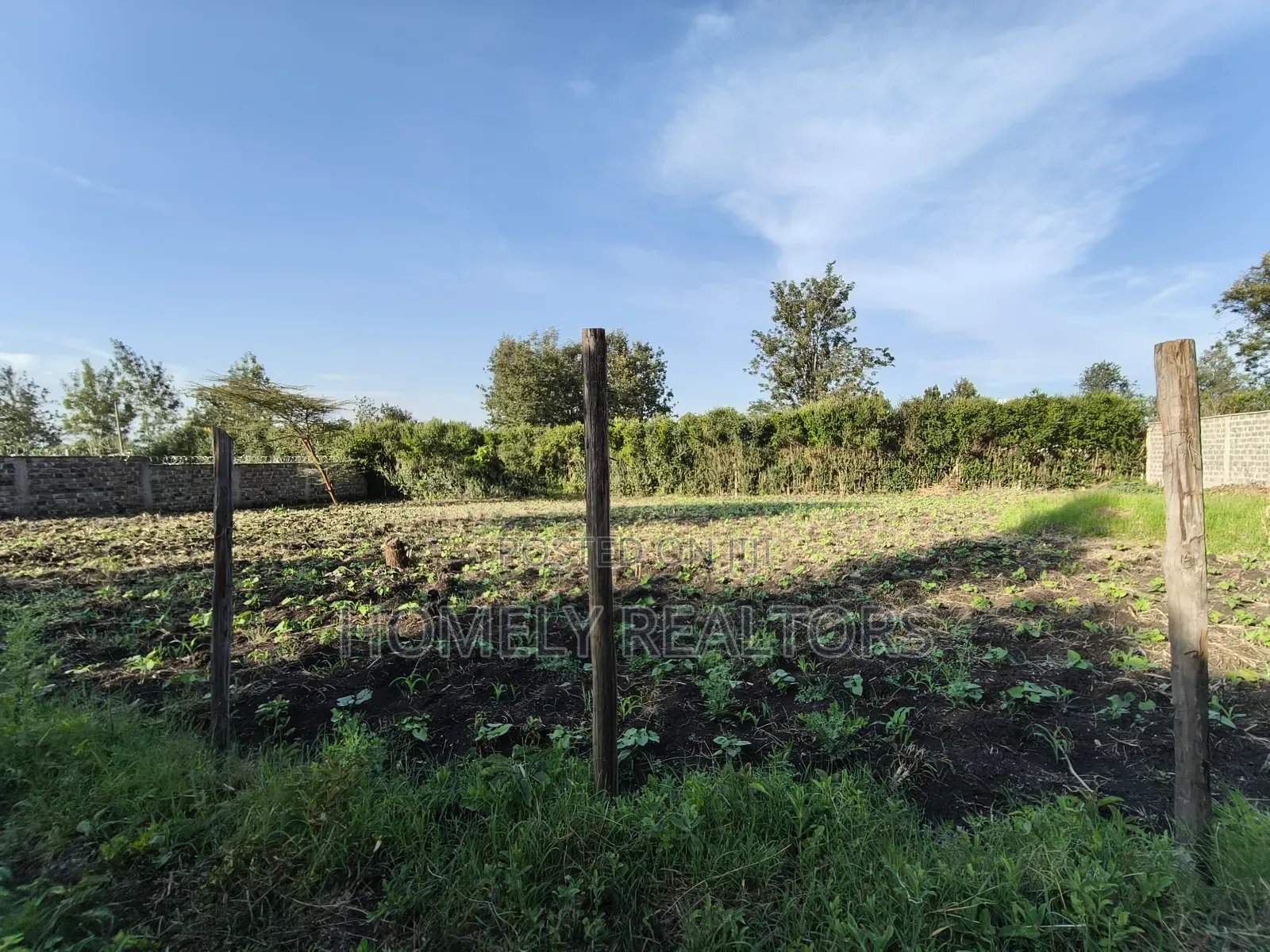 Quarter Acre Plot in Ongata Rongai, Rimpa Near the Tarmac in Rimpa