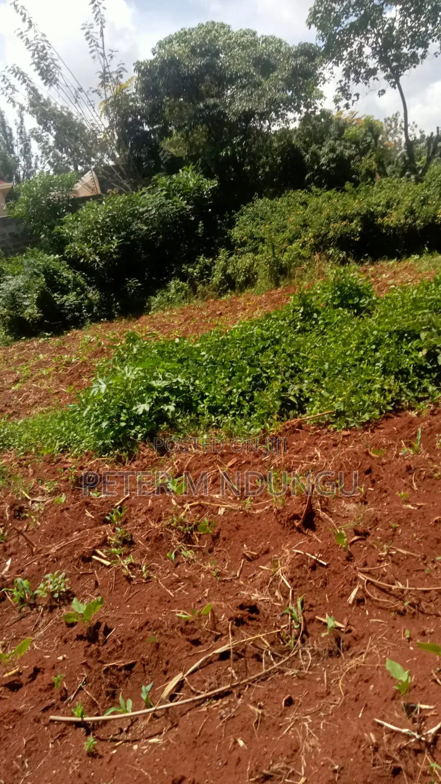 Thome 1/4 Land on Sale, Gated Community in Thome