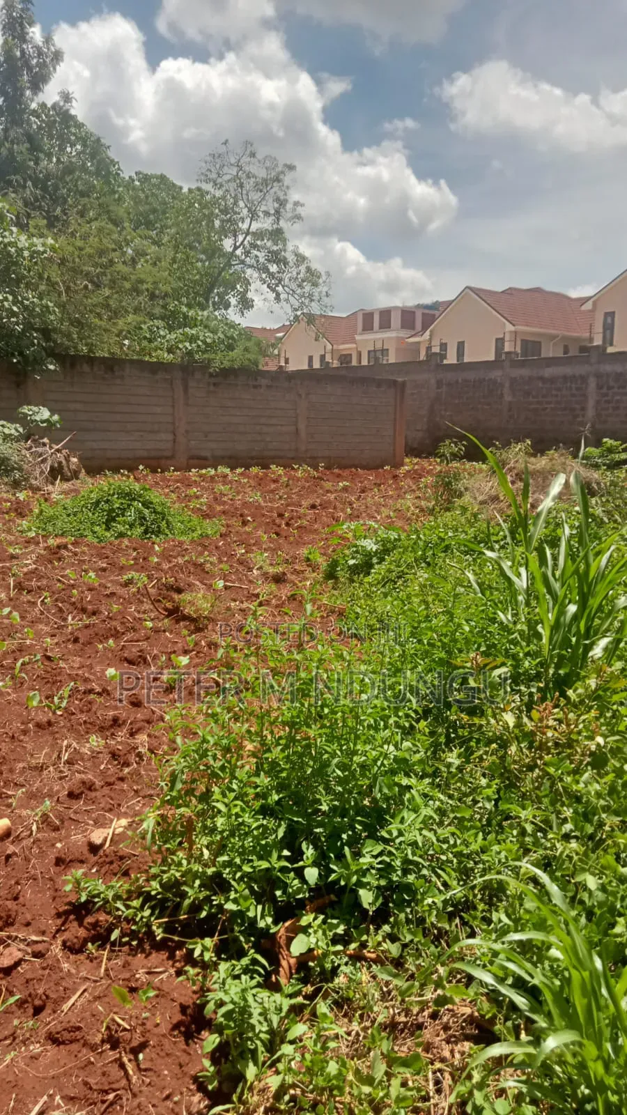 Thome 1/4 Land on Sale, Gated Community in Thome