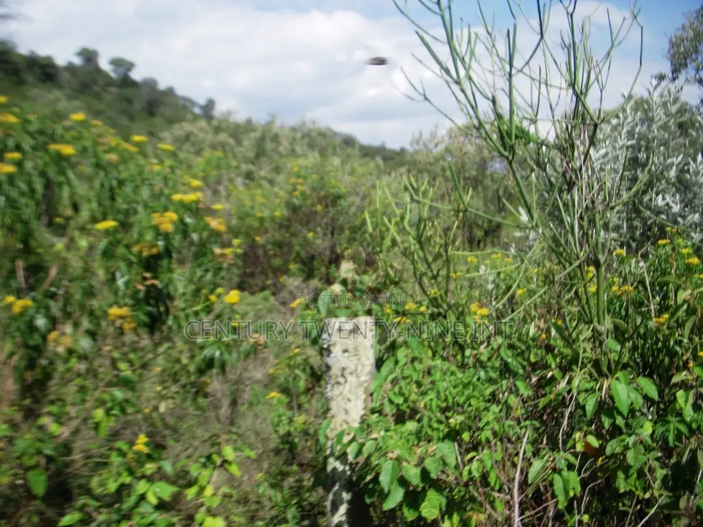 Kekopey Land Sale of 10 Acres in Gilgil