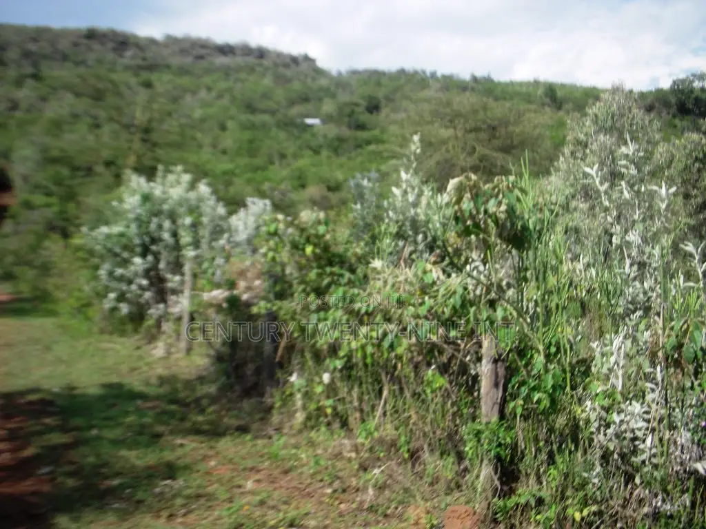 Kekopey Land Sale of 10 Acres in Gilgil