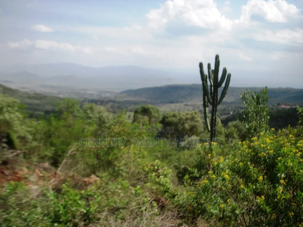 Kekopey Land Sale of 10 Acres in Gilgil
