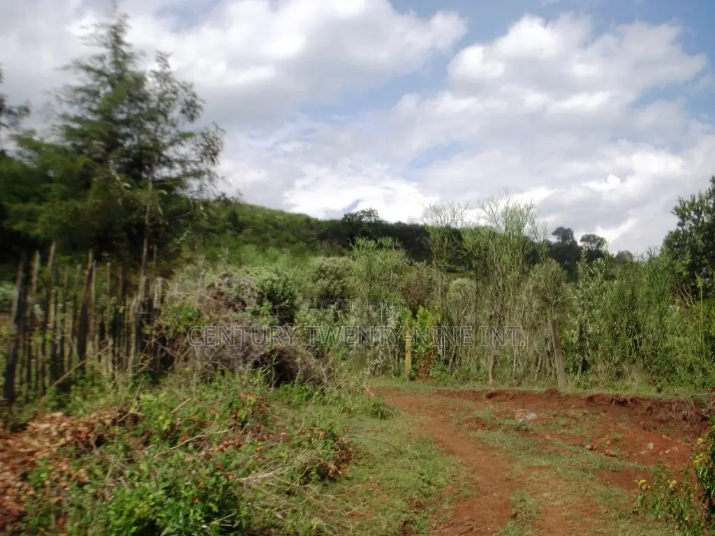 Kekopey Land Sale of 10 Acres in Gilgil